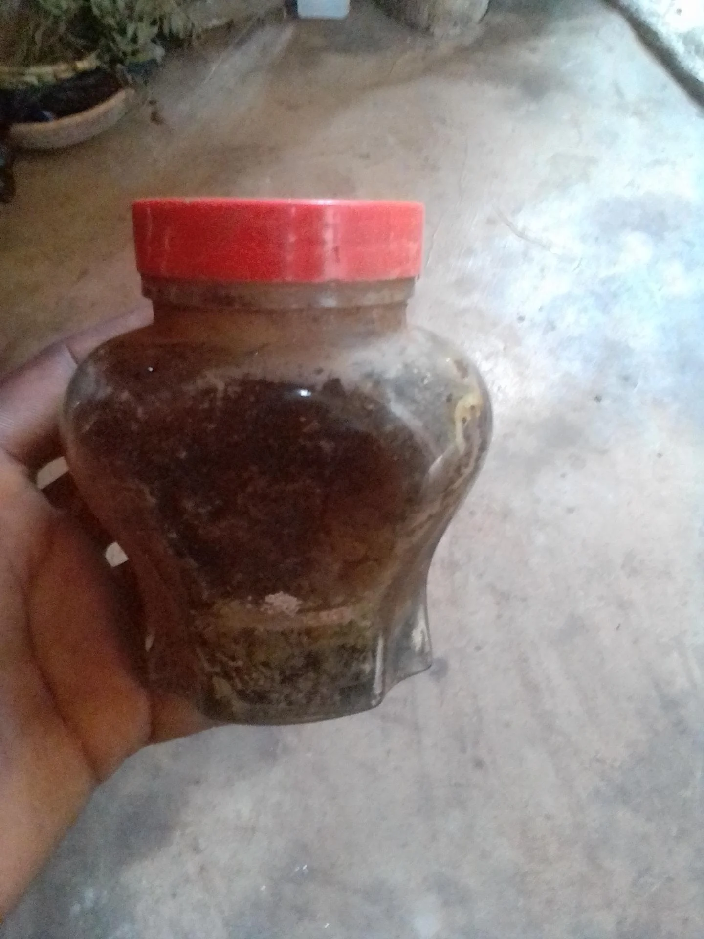 Pommade et savon pour grossir et allonger